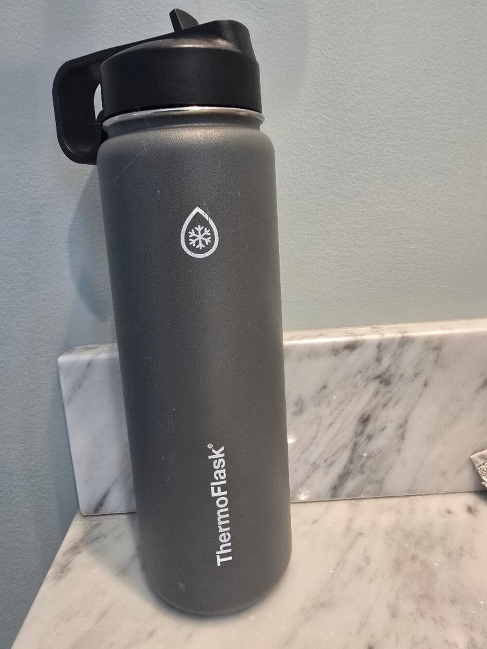 Thermo Flask Wide Mouth 24 oz Grey Water Bottle Black Flip Spout Straw Lid